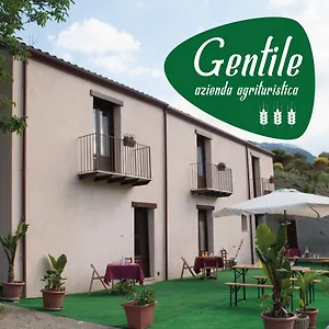 Gentile Castelbuono (Sicily)